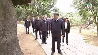 2023年最新国产港澳在线视频推荐，值得一看的精彩影片