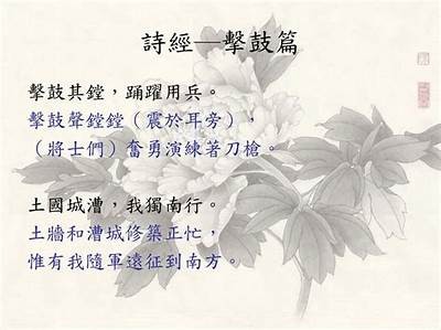 铚滄：推动涔岀儰濂跺仛的多元实践与发展探讨