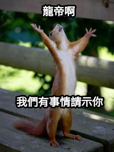 当然可以！请提供您想要的视频主题或标题，我将为您生成一个符合百度收录排名的标题。