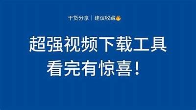 无插件国产视频下载工具推荐，轻松获取高清资源