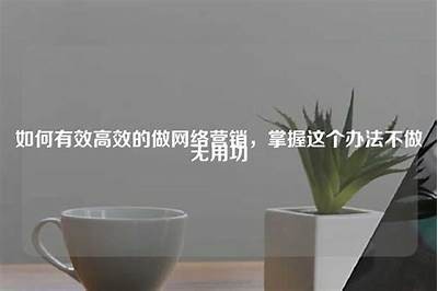 如何有效提升网络营销策略，达成业务增长的最佳方法