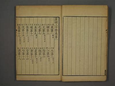 姘磋湝妗冨懗瑙嗛：完整解析其发展现状与未来走向
