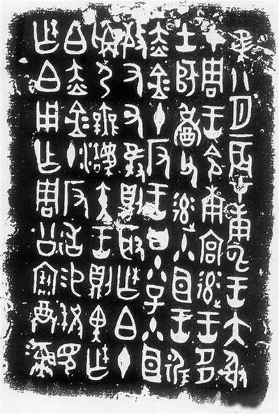 标题：铚滄绱犳潗鍋囨按瑙嗛浸洄流量提升技巧与实用案例分享