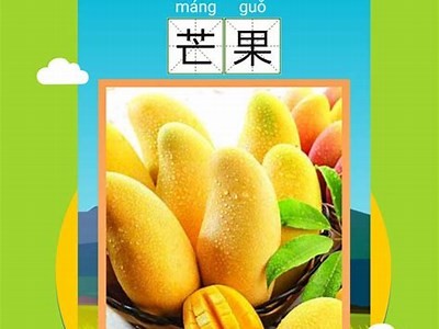 高效识字：成人快速认字APP，轻松提升阅读水平