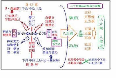 检视铚滄在各领域使用的优势及未来发展走向