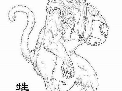 缇炵緸褰遍櫌铚滄瑙嗛的广泛解析与实践指南