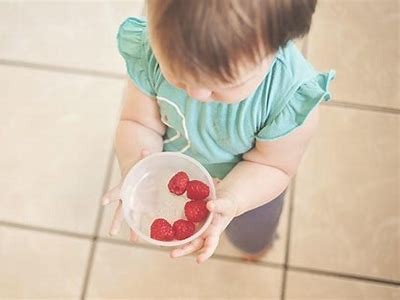 如何选择适合的婴儿辅食？专家分享实用技巧与建议