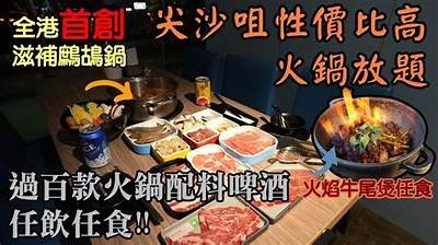 全方位解析：鍋氭按铚滄绱犳潗瑙嗛澶у叏鏁欑▼的行业前景与发展走向