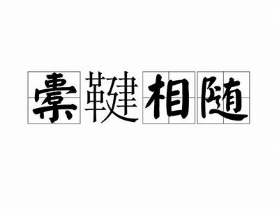 如何选择适合的铚滄产品？提升生活品质的实用指南